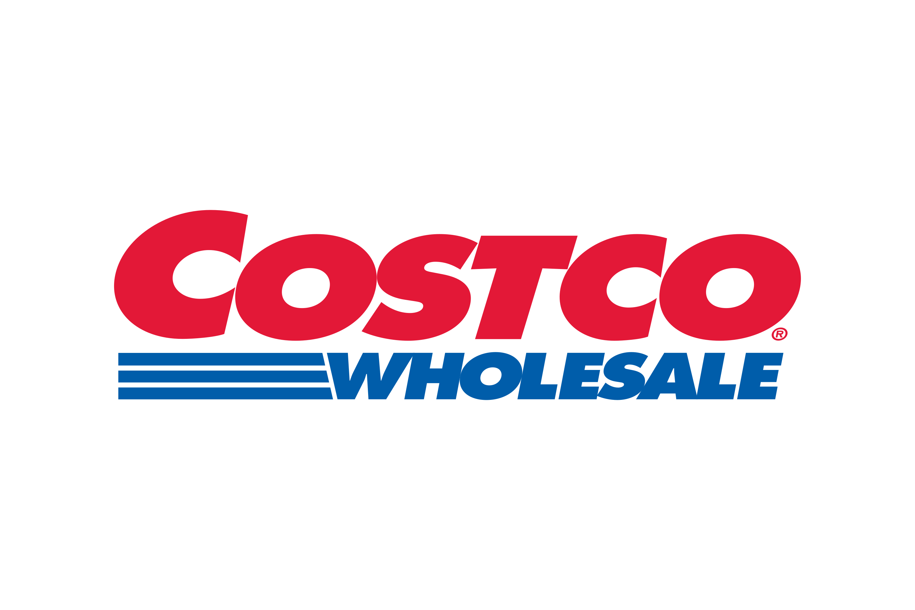 Costco wholesale partner logo