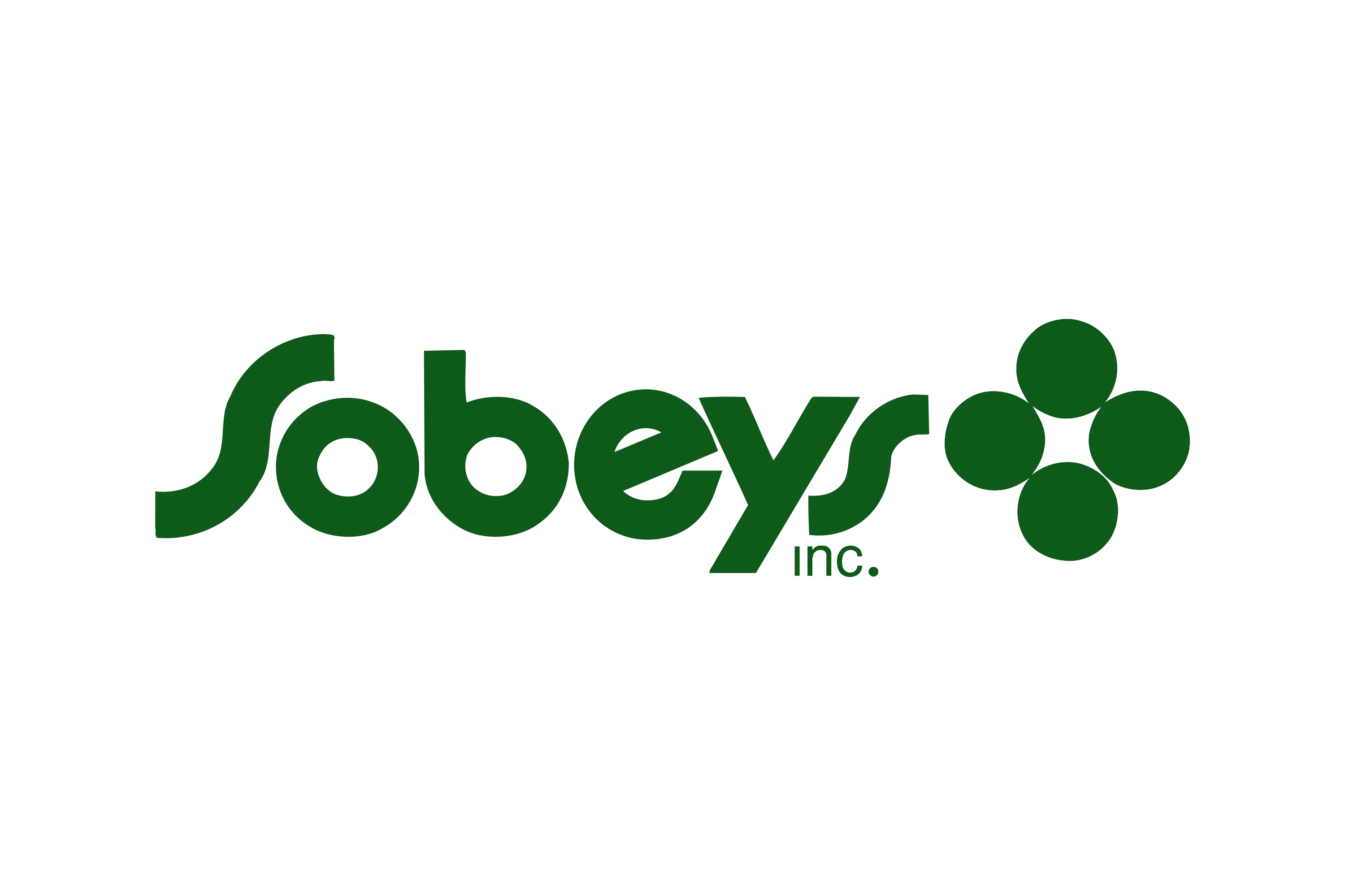 Sobeys retail partner logo